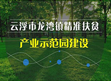 文炫農(nóng)業(yè)農(nóng)業(yè)有限公司成果報(bào)獎(jiǎng)PPT設(shè)計(jì)制作