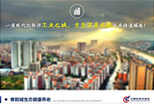 寧陽經(jīng)濟(jì)開發(fā)區(qū) 項(xiàng)目競(jìng)標(biāo)PPT定制