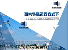 西雙版納項(xiàng)目競(jìng)標(biāo)PPT定制