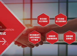 長江經(jīng)濟(jì)帶產(chǎn)業(yè)基金管理有限公司PPT展示 公司介