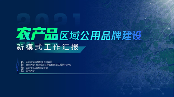 四川攀枝花沁鏈模式政府工作匯報(bào)PPT制作