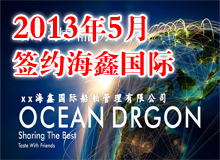 海鑫國際ppt制作 工作交流