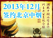 北京中煙ppt制作 工作匯報