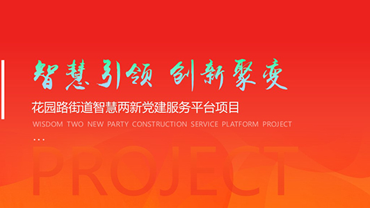 黨建  項(xiàng)目平臺介紹ppt制作