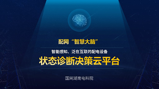 “智慧大腦”云平臺工作匯報(bào)ppt代做